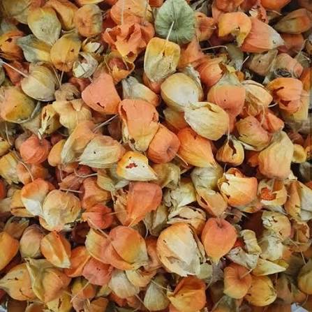 عروس پشت پرده