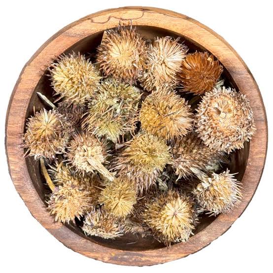 سرخار گل